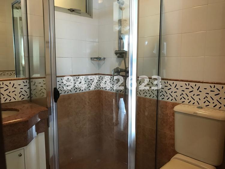 Sunshine Plaza (D7), Apartment #174676232